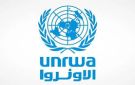 الاونروا: أكثر من 15 مليون استشارة صحية تم تقديمها منذ بدء العدوان على غزة - ye