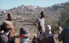 مستوطنون صهاينة يواصلون اعتداءاتهم على الفلسطينيين في الضفة الغربية - ye