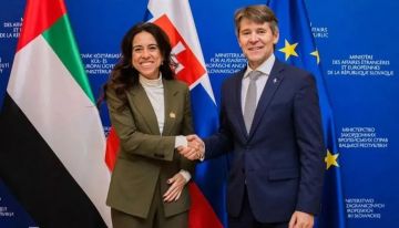 الإمارات وسلوفاكيا تؤكدان شراكة قوية خلال أول جولة للمشاورات السياسية الإمارات وسلوفاكيا تؤكدان شراكة قوية خلال أول جولة للمشاورات السياسية