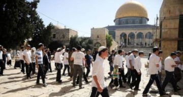 حصيلة غير مسبوقة.. 71 ألف صهيوني اقتحموا الأقصى خلال 2025 حصيلة غير مسبوقة.. 71 ألف صهيوني اقتحموا الأقصى خلال 2025