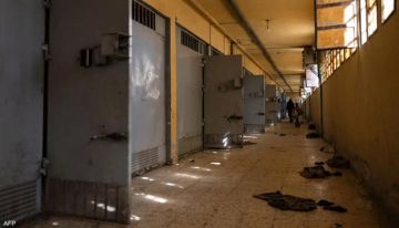 عام على سقوط الأسد.. جرح المفقودين لا يزال مفتوحا في سوريا عام على سقوط الأسد.. جرح المفقودين لا يزال مفتوحا في سوريا