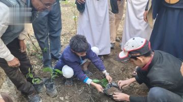 تدشين زراعة البن في المدارس المحورية بحجة