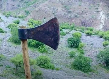 مقتل شخصين وإصابة آخرين في شجار بـ الفؤوس في بني حشيش بصنعاء