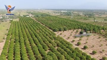 مديرية باجل.. نموذج تنموي واعد لتعزيز الاكتفاء الذاتي في الإنتاج المحلي مديرية باجل.. نموذج تنموي واعد لتعزيز الاكتفاء الذاتي في الإنتاج المحلي