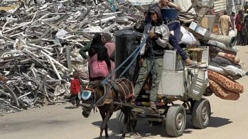 حشد : اجلاء حمير من غزة بينما يموت الأطفال يعكس انحطاطا أخلاقيا وسياسيا