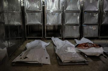 استشهاد فلسطينيين وإصابة آخرين بنيران العدو الإسرائيلي وسط وشمال قطاع غزة استشهاد فلسطينيين وإصابة آخرين بنيران العدو الإسرائيلي وسط وشمال قطاع غزة