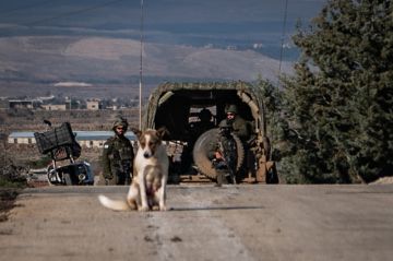 قوات العدو الإسرائيلي تتوغل مجددا في ريف القنيطرة وتعتقل مدنيين سوريين قوات العدو الإسرائيلي تتوغل مجددا في ريف القنيطرة وتعتقل مدنيين سوريين