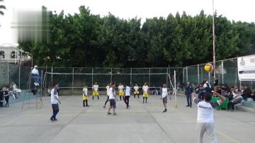 مصلحة الضرائب والجمارك تكمل عقد المتأهلين لنصف نهائي بطولة الوزارات والمؤسسات للكرة الطائرة