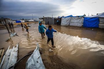 أبو حسنة: غزة تواجه تسونامي إنساني يتجاوز قدرات الأونروا والمنظمات الإغاثية أبو حسنة: غزة تواجه تسونامي إنساني يتجاوز قدرات الأونروا والمنظمات الإغاثية