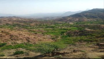 الحوثيون يقصفون قرية سكنية في الضالع الحوثيون يقصفون قرية سكنية في الضالع