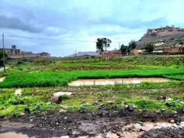 بالصور تحركات مريبة حول إرث الرئيس صالح .. حفريات مكثفة وانفجار يثير الرعب في سنحان ! بالصور تحركات مريبة حول إرث الرئيس صالح .. حفريات مكثفة وانفجار يثير الرعب في سنحان !