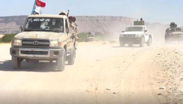 عملية الحسم تتويج عقد من المواجهة الجنوبية مع الإرهاب وتحالفاته عملية الحسم تتويج عقد من المواجهة الجنوبية مع الإرهاب وتحالفاته