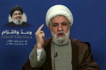 أمين عام حزب الله يعتبر تعيين مدني بلجنة الميكانيزم سقطة لحكومة لبنان