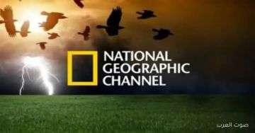 تابع اكتشافات وثائقية مذهلة.. تردد ناشيونال جيوغرافيك 2026