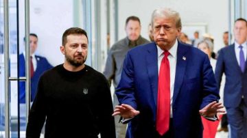 ترامب: زيلينسكي لم يقرأ مقترح خطة السلام ترامب: زيلينسكي لم يقرأ مقترح خطة السلام