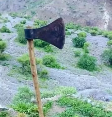 خمس لبنات تتحول إلى مأساة.. مقتل وإصابة أربعة من أسرة واحدة في صنعاء