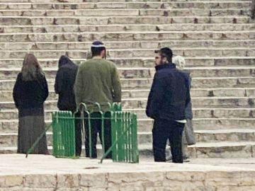 ٦٣١ مستوطنا يقتحمون باحات المسجد الأقصى المبارك ٦٣١ مستوطنا يقتحمون باحات المسجد الأقصى المبارك