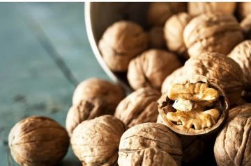 تناول الجوز يوميا.. صحة الدماغ والقلب وحماية من السرطان تناول الجوز يوميا.. صحة الدماغ والقلب وحماية من السرطان