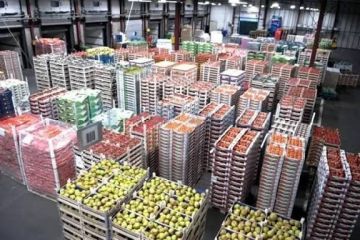 صادرات المنتجات الزراعية الصينية تبلغ نحو 600 مليار يوان في فترة يناير أكتوبر 2025