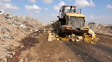 نيابة صناعة عدن تتلف كميات من لب المانجو الفاسد بسبب سوء التخزين