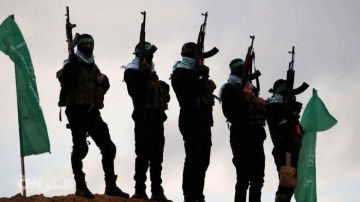 مسؤول إسرائيلي: فكرة تجميد سلاح حماس محض خيال مسؤول إسرائيلي: فكرة تجميد سلاح حماس محض خيال