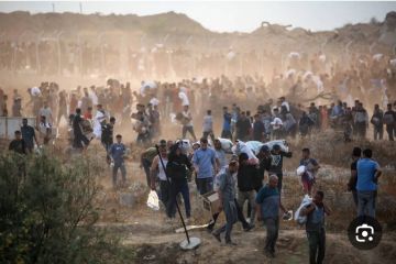 تقرير مؤسسة أميركية تغادر غزة مخلفة آلاف الشهداء والجرحى والمفقودين تقرير مؤسسة أميركية تغادر غزة مخلفة آلاف الشهداء والجرحى والمفقودين