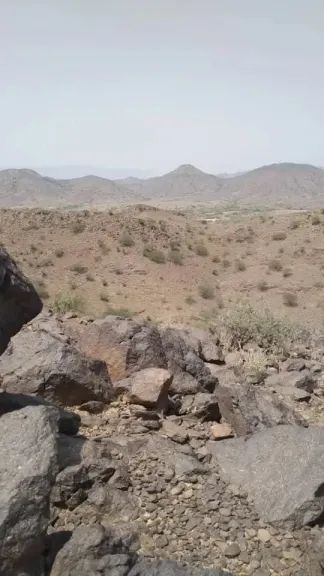 اندلاع مواجهات مفاجئة بين قبائل العصيمات وحرف سفيان بعمران.. والكشف عن حصيلتها