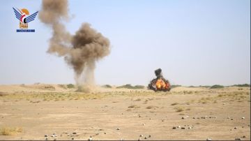 المركز التنفيذي للتعامل مع الألغام يتلف 260 لغما من مخلفات العدوان في الحديدة المركز التنفيذي للتعامل مع الألغام يتلف 260 لغما من مخلفات العدوان في الحديدة