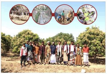 في اليوم العالمي للتطوع:فرسان التنمية يعيدون تعريف التطوع من حقول تهامة ويحولون السنابل إلى متاريس في جبهات الاكتفاء في اليوم العالمي للتطوع:فرسان التنمية يعيدون تعريف التطوع من حقول تهامة ويحولون السنابل إلى متاريس في جبهات الاكتفاء