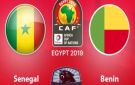 بث مباشر بجودة FULL HD لمشاهدة مباراة بنين والسنغال في كأس الأمم الأفريقية