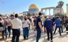 مستوطنون يقتحمون المسجد الأقصى