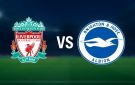 بث مباشر مباراة ليفربول وبرايتون في الدوري الإنجليزي - ye