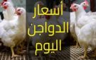 أسعار الدواجن بين اليمن والسعودية اليوم الأربعاء 24 ديسمبر 2025