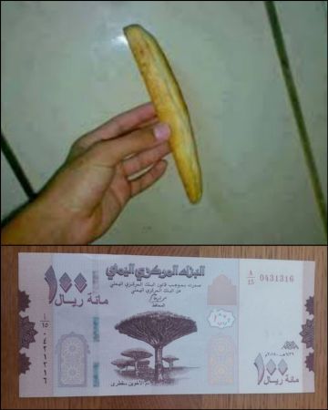 أزمة خبز في عدن.. ارتفاع سعر الحبة الروتي إلى 100 ريال