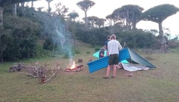 بين حرائق المحميات والتهجير القسري.. أزمات سقطرى تتوالى في ظل سلطة الانتقالي بين حرائق المحميات والتهجير القسري.. أزمات سقطرى تتوالى في ظل سلطة الانتقالي