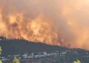 لليوم الثاني.. اتساع رقعة الحرائق في القدس المحتلة وتل أبيب