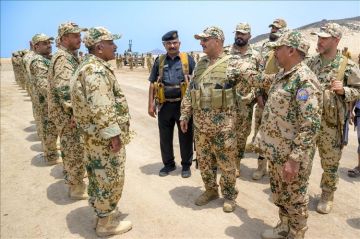 توجيهات أمريكية تدفع طارق لزيارة مواقع قواته بالبحر الأحمر