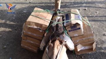 الحوثيون: إحباط تهريب سجائر على ظهور الجمال في مركز الراهدة الجمركي بتعز