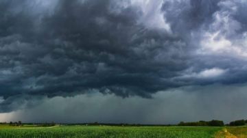 العاصفة الاستوائية ناري تضرب جزيرة هوكايدو اليابانية