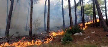 سوريا تغلق معبرا مع تركيا بعد اقتراب الحرائق من الحدود