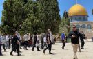 عشرات المستوطنين يدنسون الأقصى ويؤدون طقوسا تلمودية - ye