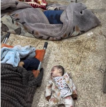 ارتفاع حصيلة ضحايا العدوان الإسرائيلي على غزة إلى 61,369 شهيدا و152,850 جريحا