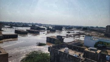 وزارة الشؤون الاجتماعية بعدن تناشد المنظمات لإغاثة المتضررين من السيول وزارة الشؤون الاجتماعية بعدن تناشد المنظمات لإغاثة المتضررين من السيول