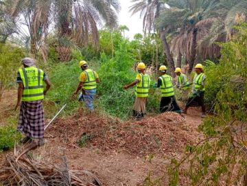 المنظمة الدولية للهجرة تطلق أنشطة النقد مقابل العمل في حضرموت بدعم كوري