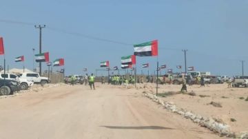 تفاصيل مثيرة حول تغيير أسماء جزر يمنية في سقطرى