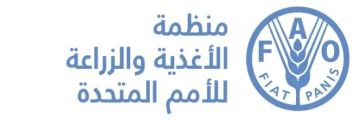 ”الفاو: أسعار الغذاء العالمية ترتفع إلى أعلى مستوياتها منذ فبراير 2023 مع توقعات بإنتاج قياسي للحبوب”