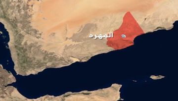 المهرة احتجاجات شعبية واسعة تنديدا بانهيار الخدمات