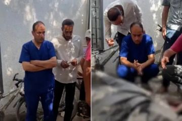 34 شهيدًا و200 جريح في غزة خلال 24 ساعة.. وارتفاع ضحايا المجاعة إلى 442 بينهم 147 طفلًا 34 شهيدًا و200 جريح في غزة خلال 24 ساعة.. وارتفاع ضحايا المجاعة إلى 442 بينهم 147 طفلًا