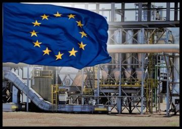 الإنتاج الصناعي في منطقة اليورو يرتفع وثقة المستثمرين الألمان تتحسن الإنتاج الصناعي في منطقة اليورو يرتفع وثقة المستثمرين الألمان تتحسن