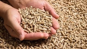 أسعار أعلاف الدواجن في مصر اليوم السبت 27 سبتمبر 2025.. ارتفاعات جديدة تسيطر على السوق